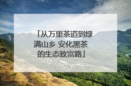 从万里茶道到绿满山乡 安化黑茶的生态致富路