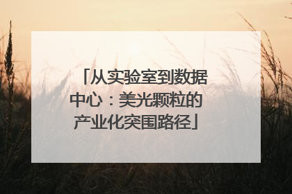 从实验室到数据中心：美光颗粒的产业化突围路径