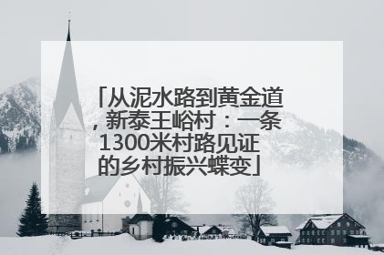 从泥水路到黄金道，新泰王峪村：一条1300米村路见证的乡村振兴蝶变
