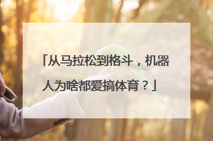 从马拉松到格斗，机器人为啥都爱搞体育？