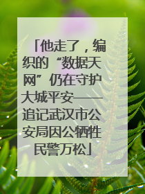 他走了，编织的“数据天网”仍在守护大城平安——追记武汉市公安局因公牺牲民警万松