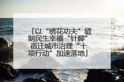 以“绣花功夫”缝制民生幸福“针脚” 宿迁城市治理“十项行动”加速落地