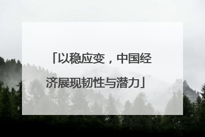 以稳应变，中国经济展现韧性与潜力