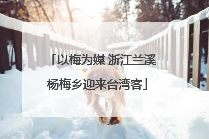 以梅为媒 浙江兰溪杨梅乡迎来台湾客