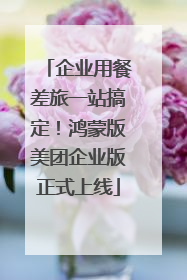 企业用餐差旅一站搞定！鸿蒙版美团企业版正式上线
