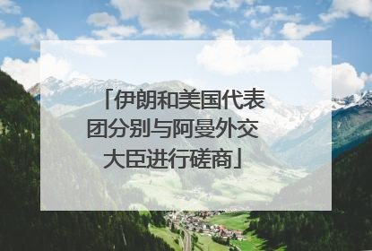 伊朗和美国代表团分别与阿曼外交大臣进行磋商