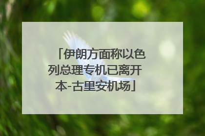 伊朗方面称以色列总理专机已离开本-古里安机场
