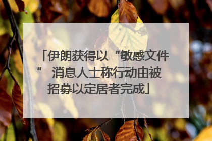 伊朗获得以“敏感文件” 消息人士称行动由被招募以定居者完成