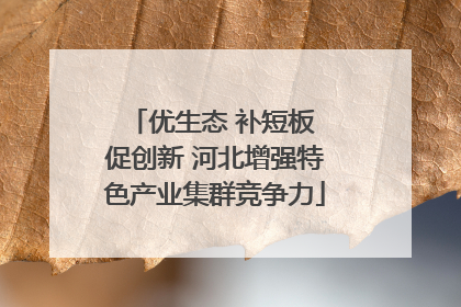 优生态 补短板 促创新 河北增强特色产业集群竞争力