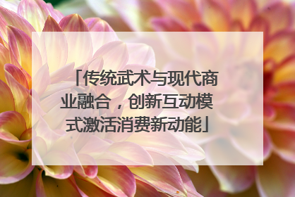 传统武术与现代商业融合，创新互动模式激活消费新动能