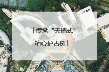 传承“天把式” 精心护古树