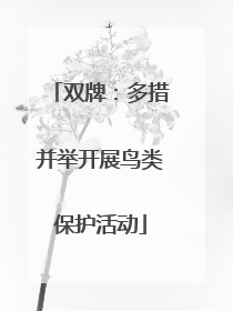 双牌：多措并举开展鸟类保护活动