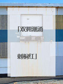 双拥潮涌刺桐红