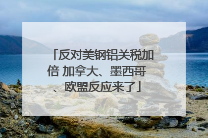 反对美钢铝关税加倍 加拿大、墨西哥、欧盟反应来了