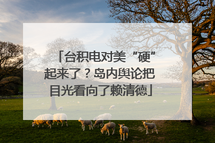 台积电对美“硬”起来了？岛内舆论把目光看向了赖清德
