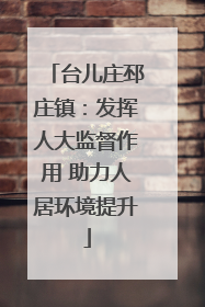 台儿庄邳庄镇：发挥人大监督作用 助力人居环境提升
