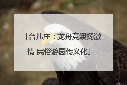 台儿庄：龙舟竞渡扬激情 民俗游园传文化