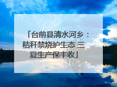 台前县清水河乡：秸秆禁烧护生态 三夏生产保丰收