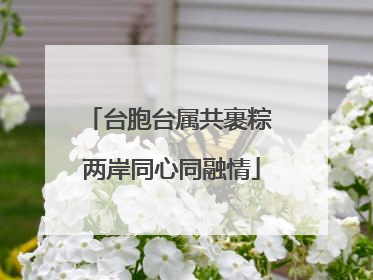 台胞台属共裹粽 两岸同心同融情