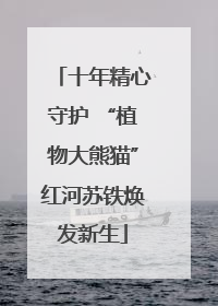 十年精心守护 “植物大熊猫”红河苏铁焕发新生
