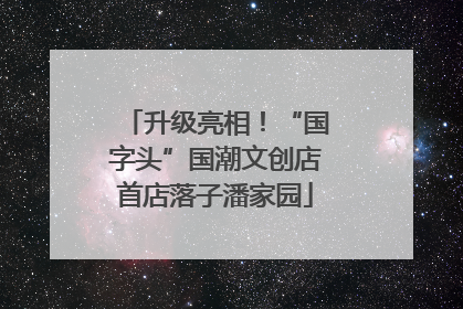 升级亮相！“国字头”国潮文创店首店落子潘家园