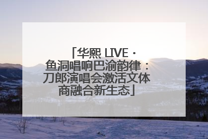 华熙 LIVE・鱼洞唱响巴渝韵律：刀郎演唱会激活文体商融合新生态