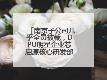 南京子公司几乎全员被裁，DPU明星企业芯启源核心研发部门已人去楼空