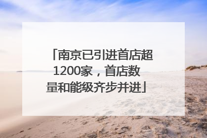 南京已引进首店超1200家，首店数量和能级齐步并进