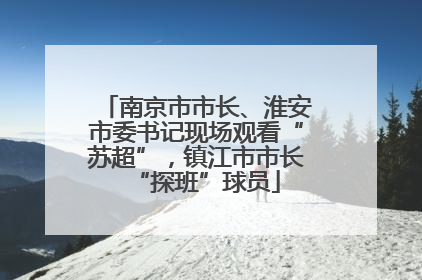 南京市市长、淮安市委书记现场观看“苏超”，镇江市市长“探班”球员