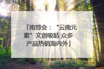 南博会：“云南元素”文创吸睛 众多产品热销海内外