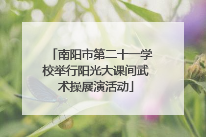 南阳市第二十一学校举行阳光大课间武术操展演活动