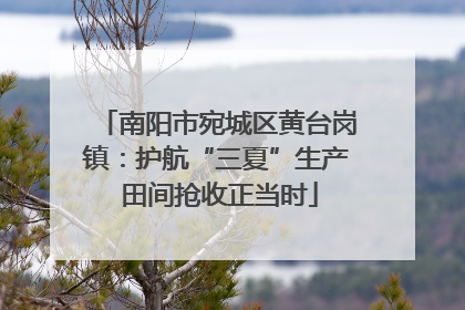 南阳市宛城区黄台岗镇：护航“三夏”生产 田间抢收正当时