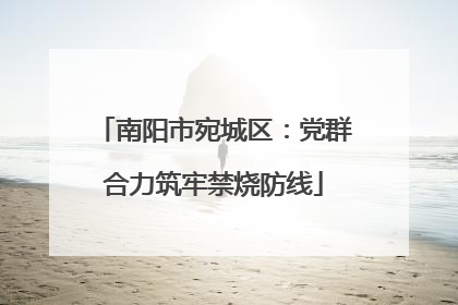 南阳市宛城区：党群合力筑牢禁烧防线