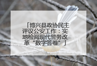 博兴县政协民主评议公安工作：实地检阅现代警务改革“数字答卷”