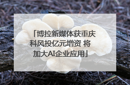 博拉新媒体获重庆科风投亿元增资 将加大AI企业应用