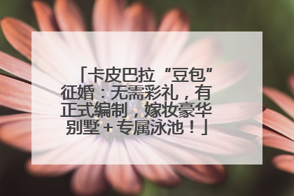 卡皮巴拉“豆包”征婚：无需彩礼，有正式编制，嫁妆豪华别墅＋专属泳池！