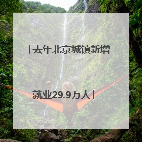去年北京城镇新增就业29.9万人