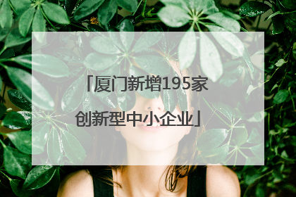 厦门新增195家创新型中小企业