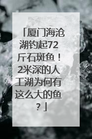 厦门海沧湖钓起72斤石斑鱼！2米深的人工湖为何有这么大的鱼？