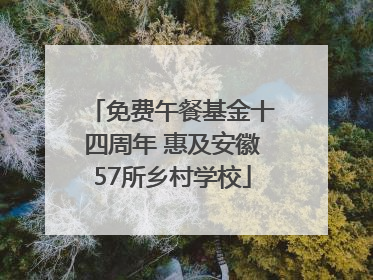 免费午餐基金十四周年 惠及安徽57所乡村学校