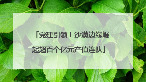 党建引领！沙漠边缘崛起超百个亿元产值连队