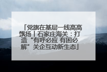 党旗在基层一线高高飘扬丨石家庄海关：打造“有呼必应 有困必解”关企互动新生态