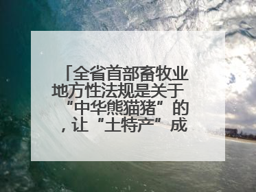 全省首部畜牧业地方性法规是关于“中华熊猫猪”的，让“土特产”成为“新国潮”，让“农产品”升格为“城市IP”