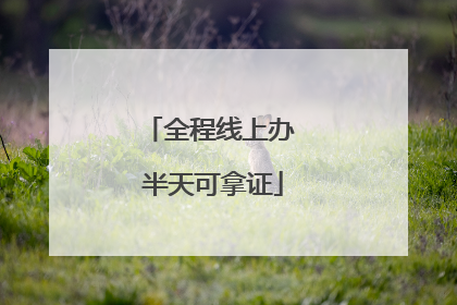 全程线上办 半天可拿证