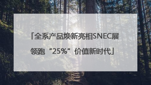全系产品焕新亮相SNEC展 领跑“25%”价值新时代