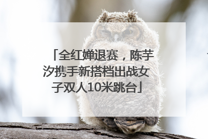 全红婵退赛，陈芋汐携手新搭档出战女子双人10米跳台