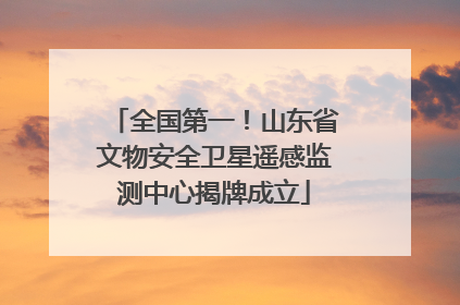 全国第一！山东省文物安全卫星遥感监测中心揭牌成立