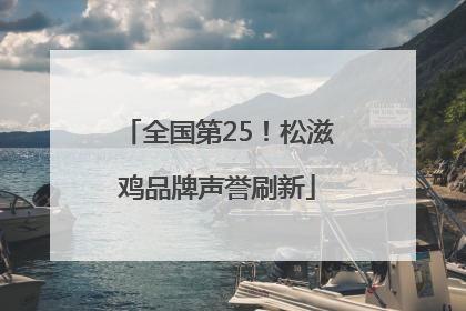 全国第25！松滋鸡品牌声誉刷新