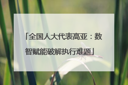 全国人大代表高亚：数智赋能破解执行难题