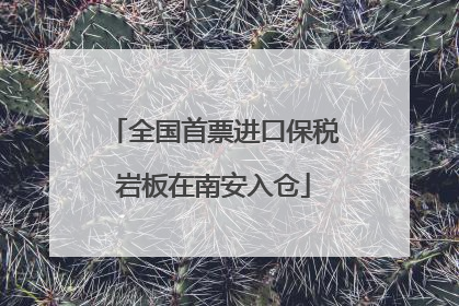 全国首票进口保税岩板在南安入仓